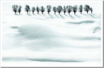 KiarostamiExhibition03