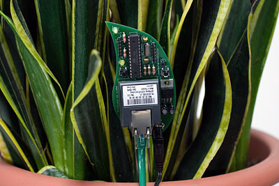 plant_twitter plant_twitter